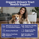 Wholistic Pets WholeCran Intense for Dogs & Cats 1 oz - Dog & Cat Supplements & Vitamins 4