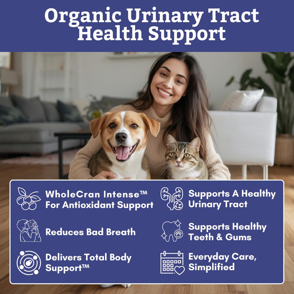 Wholistic Pets WholeCran Intense for Dogs & Cats 1 oz - Dog & Cat Supplements & Vitamins 4
