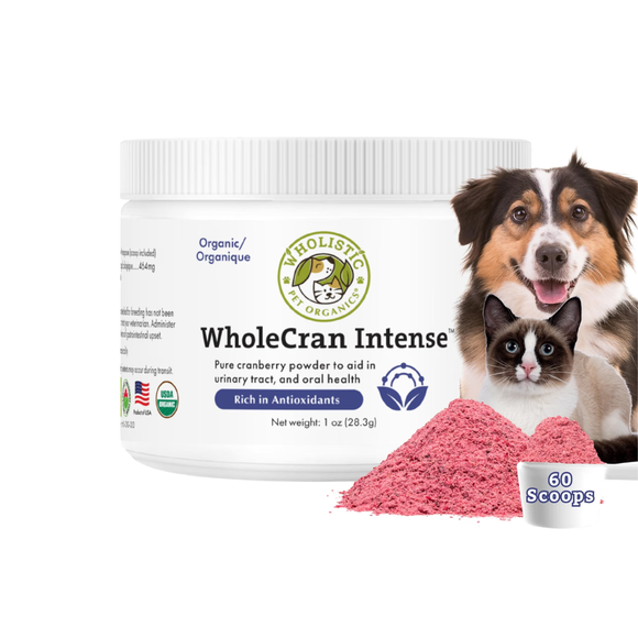 Wholistic Pets WholeCran Intense for Dogs & Cats 1 oz - Dog & Cat Supplements & Vitamins 3