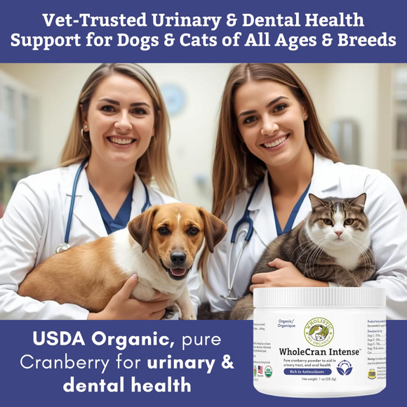 Wholistic Pets WholeCran Intense for Dogs & Cats 1 oz - Dog & Cat Supplements & Vitamins 6