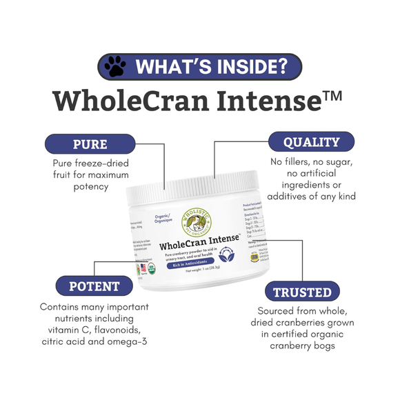 Wholistic Pets WholeCran Intense for Dogs & Cats 1 oz - Dog & Cat Supplements & Vitamins 5