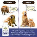 Wholistic Pet Organics Wild Krill Oil Capsules for Dogs & Cats - Dog & Cat Supplements & Vitamins 4