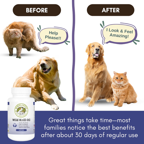 Wholistic Pet Organics Wild Krill Oil Capsules for Dogs & Cats - Dog & Cat Supplements & Vitamins 4