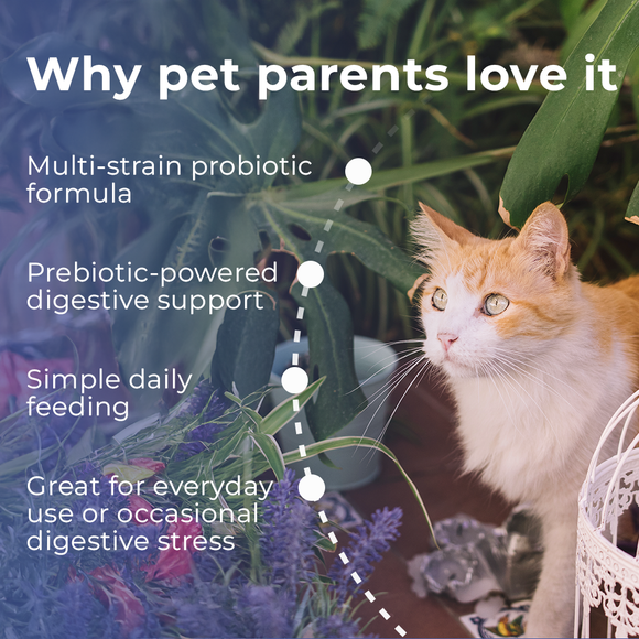 Pet Scholars Probiotic Oral Gel for Dogs & Cats, 30 cc