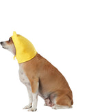 Winnie the Pooh: Pet Costume Headpiece Pooh Bear Costume.