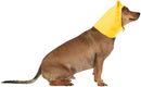 Winnie the Pooh: Pet Costume Headpiece Pooh Bear Costume.