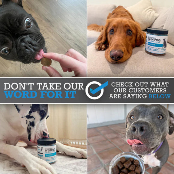 WINPRO Dog Allergy Relief (60 Chews)