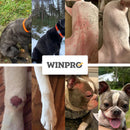 WINPRO Dog Allergy Relief (60 Chews)