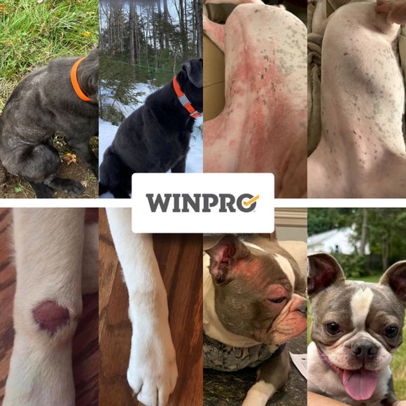 WINPRO Dog Allergy Relief (60 Chews)
