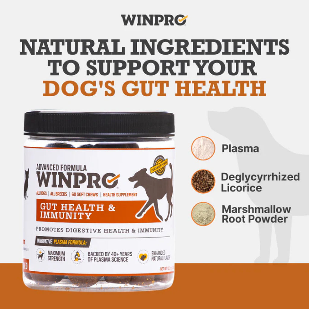 WINPRO Dog Gut Health | Plasma-Powered Digestive Dog Chews