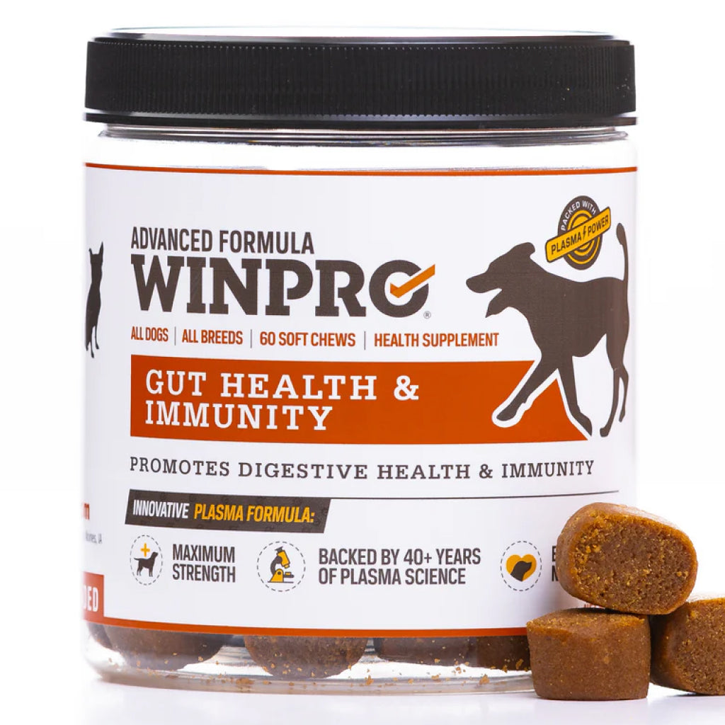 WINPRO Dog Gut Health | Plasma-Powered Digestive Dog Chews