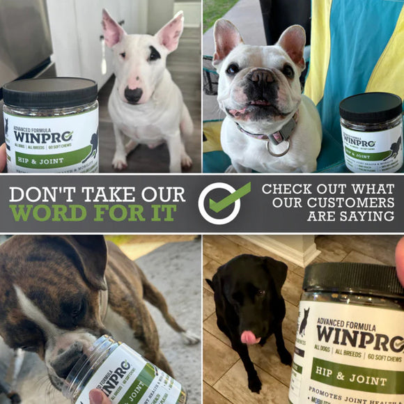 WINPRO Dog Hip & Joint (60 Chews)