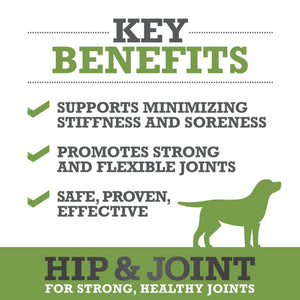 WINPRO Dog Hip & Joint (60 Chews)