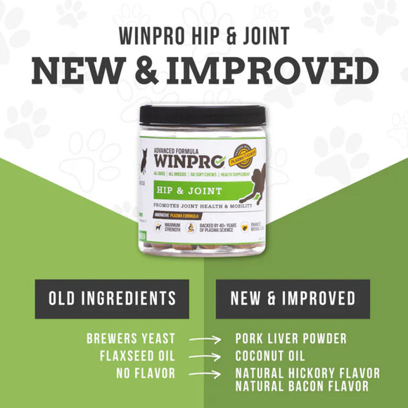 WINPRO Dog Hip & Joint (60 Chews)