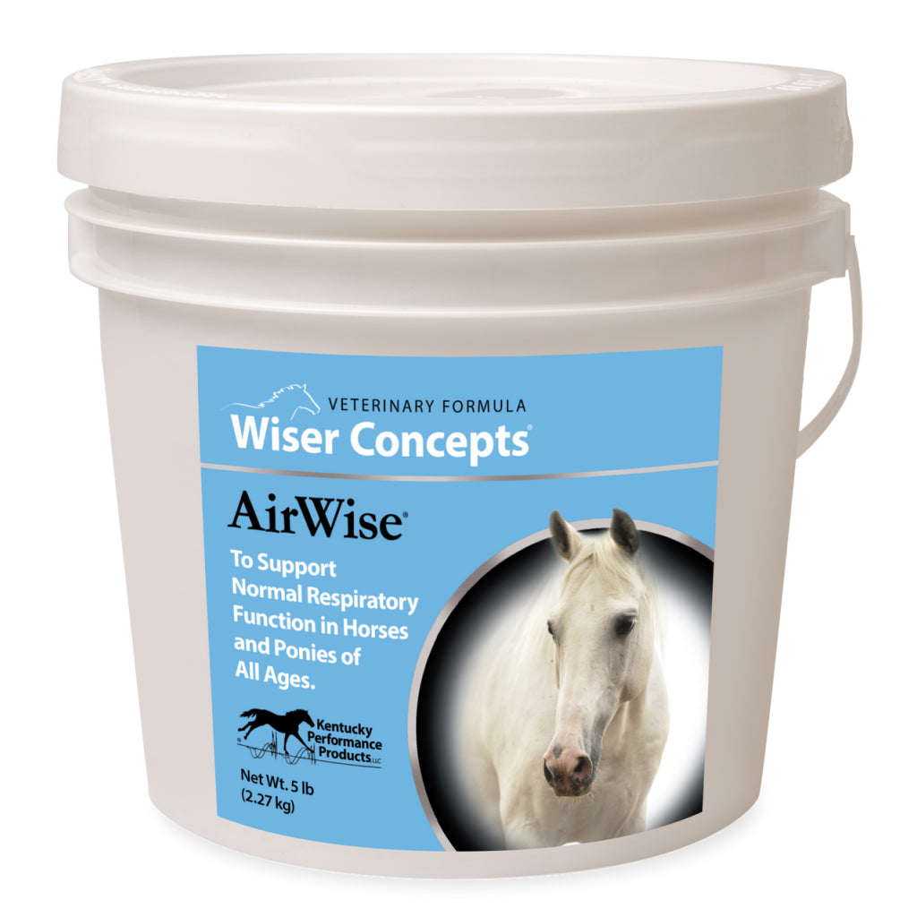 AirWise Supports Respiratory Function in Horses and Ponies
