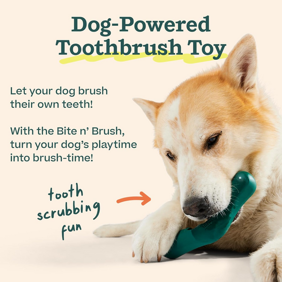 Woof Bite n’ Brush Refills Chicken Sticks Dental Treats for Dogs (8 oz) - Dog Treats 3