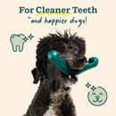 Woof Dog Bite n' Brush Dog Chew Treat Holder