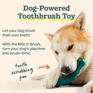 Woof Dog Bite n' Brush Dog Chew Treat Holder