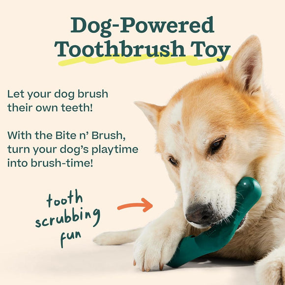 Woof Dog Bite n' Brush Dog Chew Treat Holder
