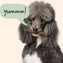 Woof Dog BullySafe Chews Pure Collagen Dog Treats, 6"