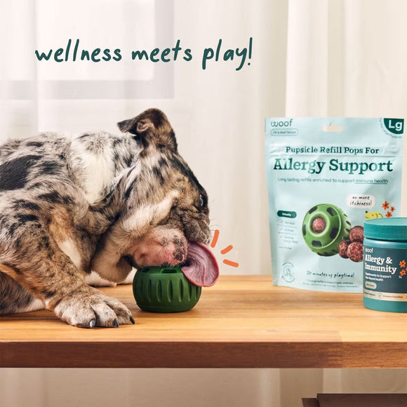 Woof Pupsicle Refill Pops for Allergy Support Peanut Butter & Beef Recipe Lickable Dog Treats