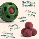 Woof Pupsicle Refill Pops for Allergy Support Peanut Butter & Beef Recipe Lickable Dog Treats
