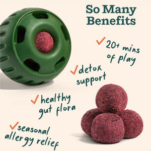 Woof Pupsicle Refill Pops for Allergy Support Peanut Butter & Beef Recipe Lickable Dog Treats