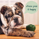 Woof Pupsicle Refill Pops for Calming Peanut Butter & Beef Recipe Lickable Dog Treats