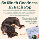 Woof Pupsicle Refill Pops for Calming Peanut Butter & Beef Recipe Lickable Dog Treats - Dog Treats 6