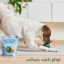 Woof Pupsicle Refill Pops for Joint Health Peanut Butter & Beef Recipe Lickable Dog Treats
