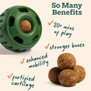Woof Pupsicle Refill Pops for Joint Health Peanut Butter & Beef Recipe Lickable Dog Treats