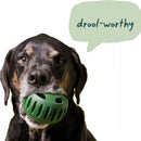 Woof Pupsicle Refill Pops Peanut Butter & Chicken Recipe Grain-Free Lickable Dog Treats