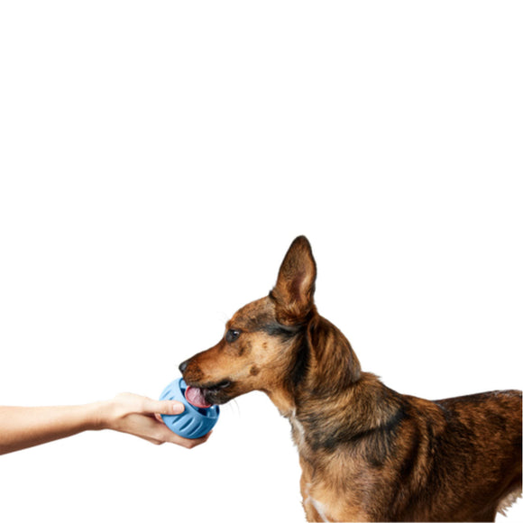 Woof Pupsicle Power Chewer Refillable Dog Treat Dispenser Toy, Blue
