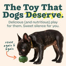 Woof Pupsicle Power Chewer Refillable Dog Treat Dispenser Toy, Green