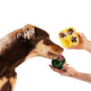 Woof PupsicleTreat Tray Mold Treat Dispenser Dog Toy