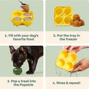 Woof PupsicleTreat Tray Mold Treat Dispenser Dog Toy