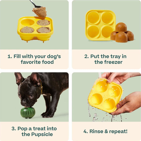 Woof PupsicleTreat Tray Mold Treat Dispenser Dog Toy