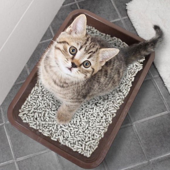 World’s Best Cat Litter Breeder Celect 14 lbs - Cat Litter & Waste Disposal 3