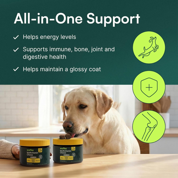Wuffes Multivitamin Chews for Dogs (50 chews) - Dog Treats 7