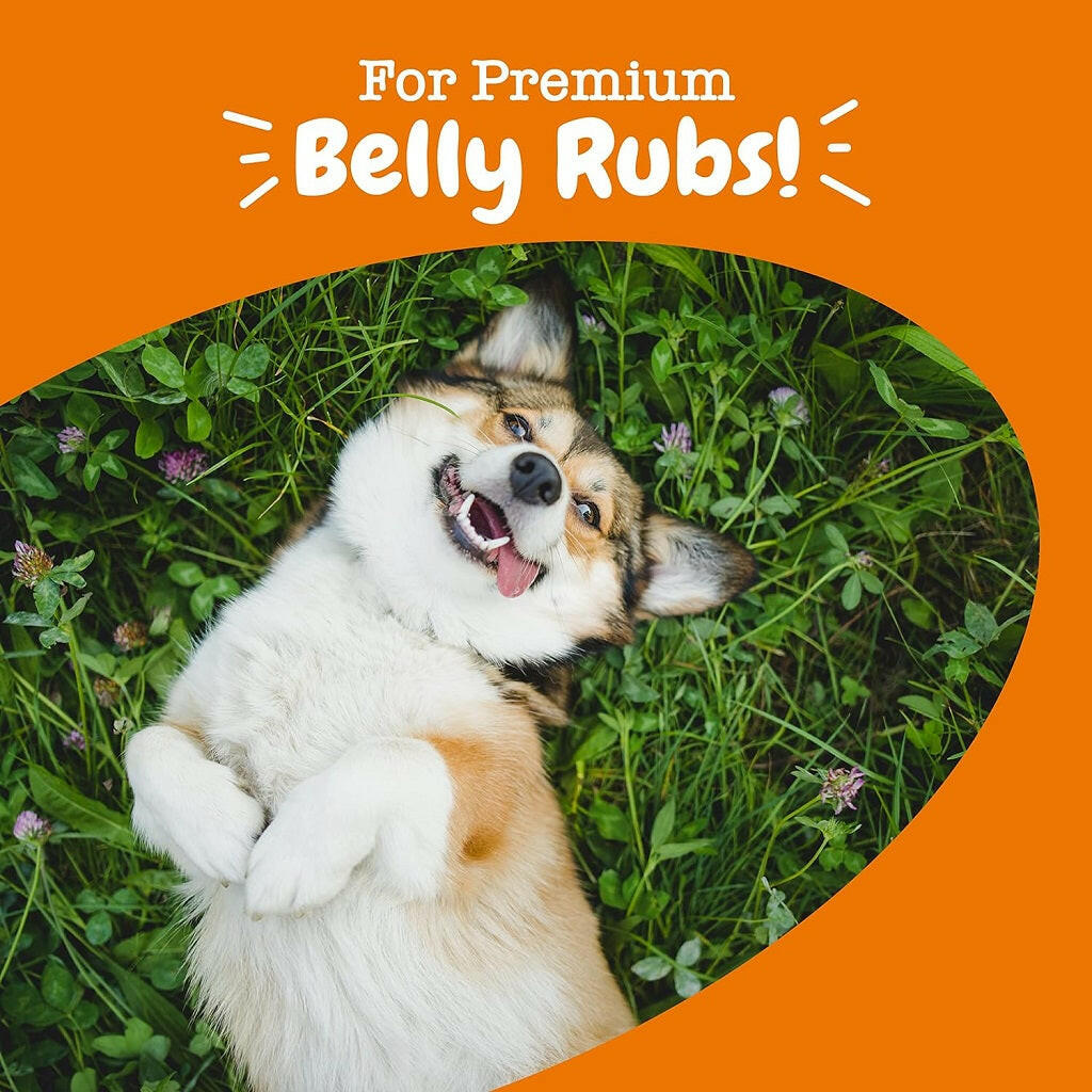 Zesty Paws Probiotic Bites Pumpkin Flavor Gut & Digestive Supplement for Dogs (90 ct)