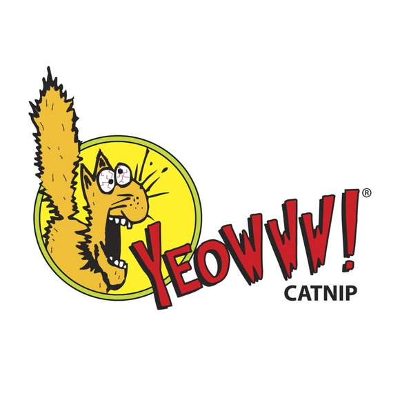 Yeowww! Strawberries Catnip Cat Toy - Cat Toys 11