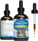 Young at Heart for Healthy Heart Maintenance in Cats - 4-oz - Cat Supplements & Vitamins 2