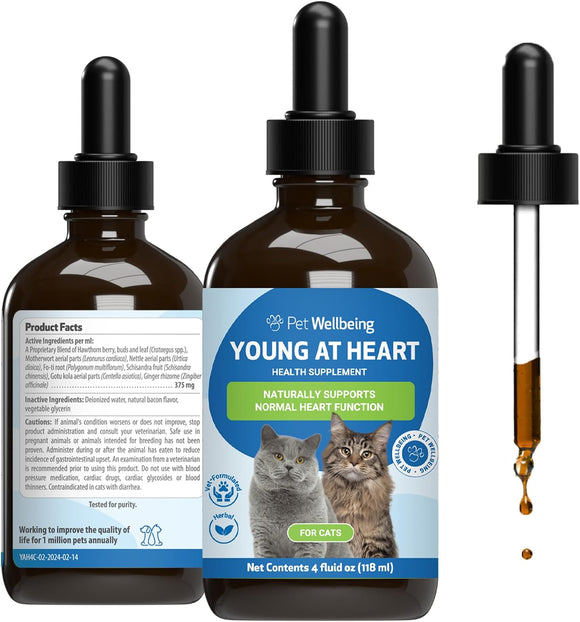 Young at Heart for Healthy Heart Maintenance in Cats - 4-oz - Cat Supplements & Vitamins 2