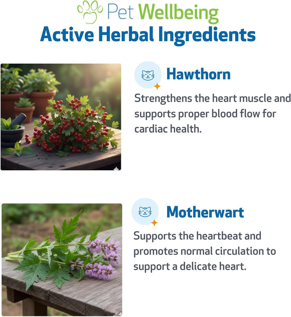 Young at Heart for Healthy Heart Maintenance in Cats - Cat Supplements & Vitamins 4