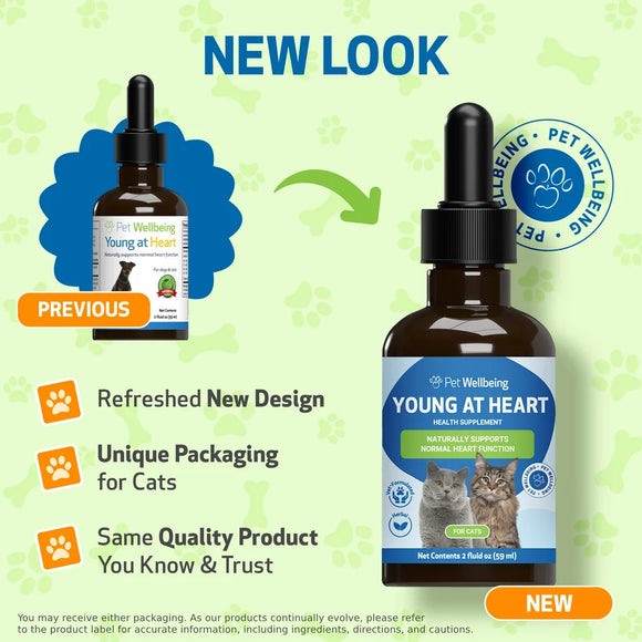Young at Heart for Healthy Heart Maintenance in Cats - Cat Supplements & Vitamins 3
