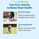 Young at Heart for Healthy Heart Maintenance in Cats - Cat Supplements & Vitamins 10