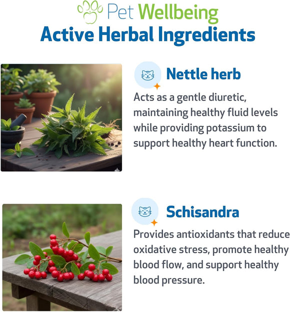 Young at Heart for Healthy Heart Maintenance in Cats - Cat Supplements & Vitamins 5