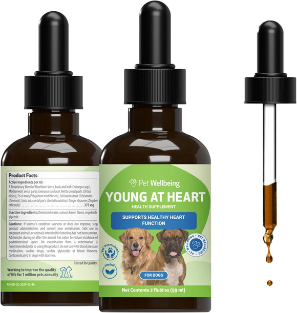 Young at Heart - for Healthy Heart Maintenance in Dogs - 2-oz - Dog Vitamins & Supplements 1