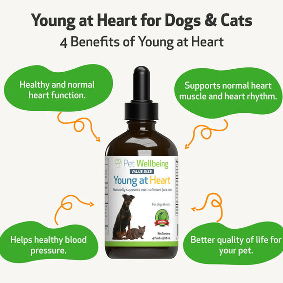 Young at Heart - for Healthy Heart Maintenance in Dogs (4 oz)