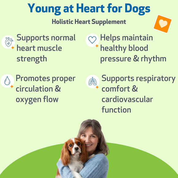 Young at Heart - for Healthy Heart Maintenance in Dogs - Dog Vitamins & Supplements 4